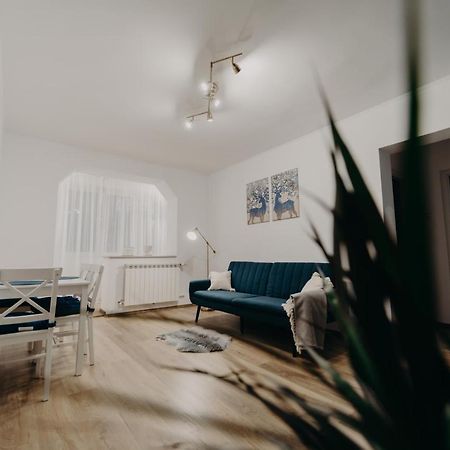 Apartamentul Albastru Ватра-Дорней Екстер'єр фото