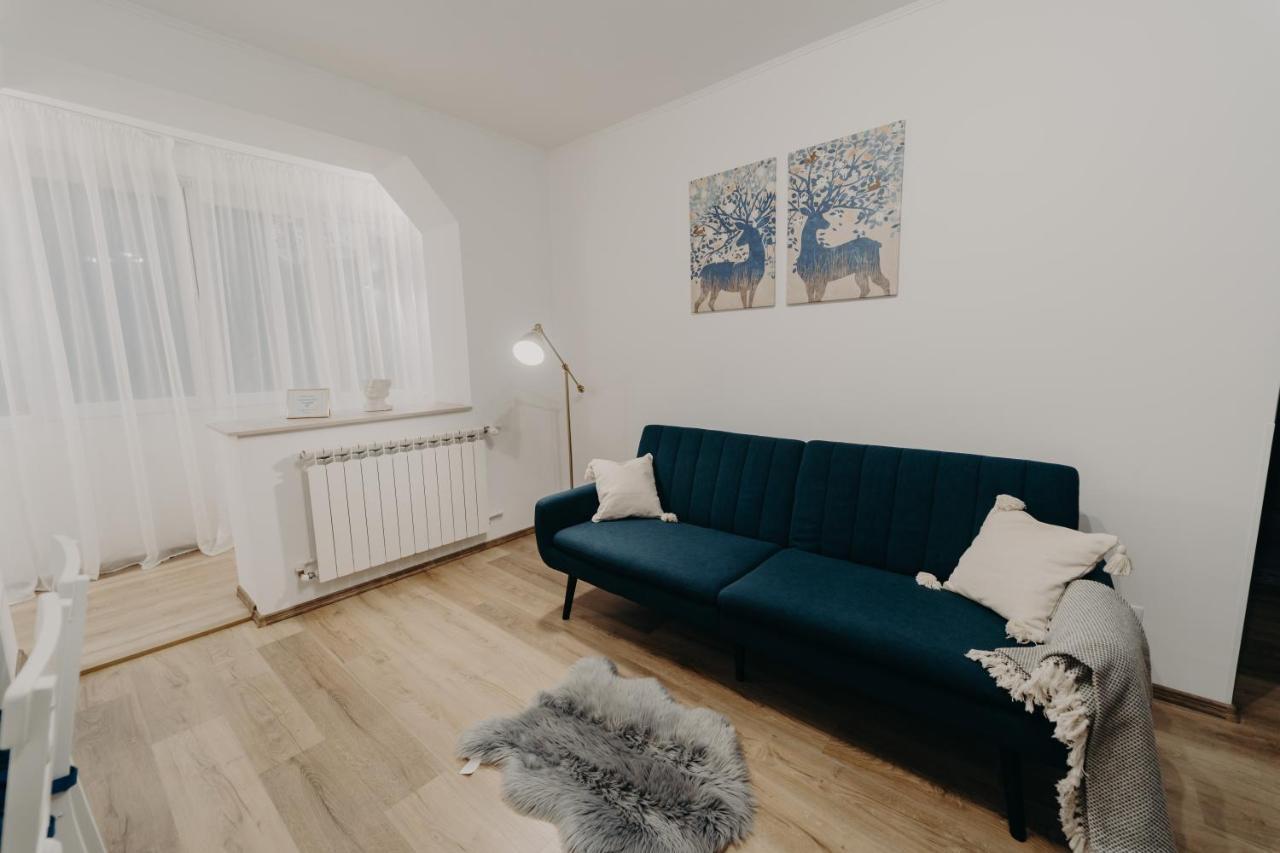 Apartamentul Albastru Ватра-Дорней Екстер'єр фото