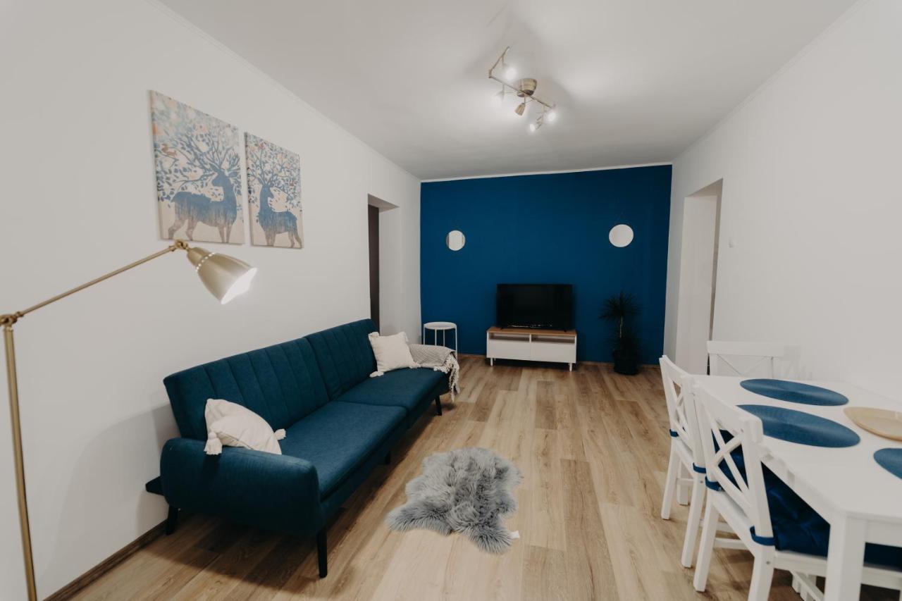 Apartamentul Albastru Ватра-Дорней Екстер'єр фото